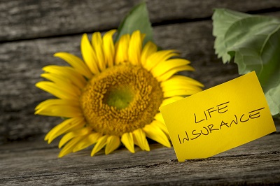image of sun flower with life insurance sign