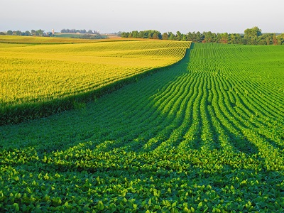 image of an oklahoma farm